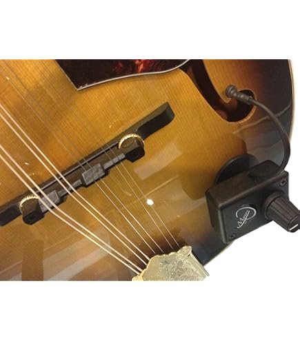 Amazon.com: Myers Pickups The Feather Soul Harmonica Hands Free